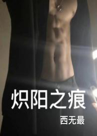 炽阳之痕小说哪里看